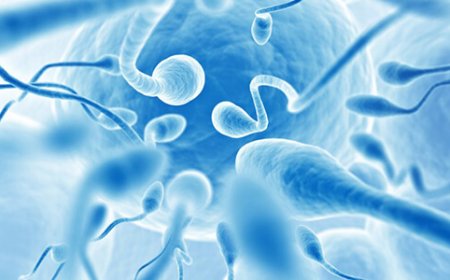 Same-Day Semen Analysis in Delhi – Cost & Booking Guide