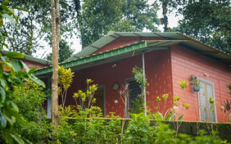 Cottages in Coorg for Couples: Romantic Escapes at Yedamakky Plantations