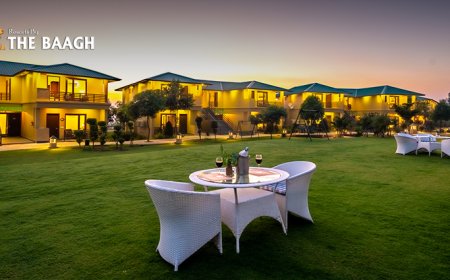 Which Is the Best Luxury Resort in Corbett for a Premium Jungle Stay?