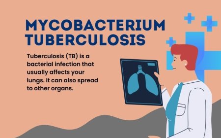 Mycobacterium Tuberculosis: Understanding, Prevention, and Treatment