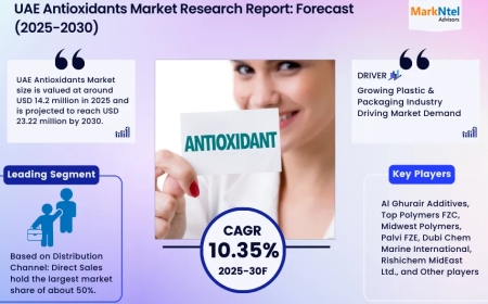 UAE Antioxidants Market Trends: Growth, Share, Value, Size, and Analysis By 2030