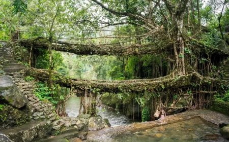 Meghalaya Honeymoon Package – Romantic Getaway to the Best Meghalaya Honeymoon Places