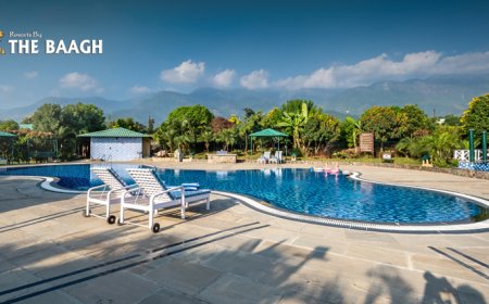 Which Are the Best 5 Star Resorts in Jim Corbett for a Luxury Stay?