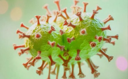 Natural Killer Cells: The Body’s Frontline Defense System