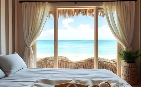 Oceanfront Edisto Island Vacation Rentals with Stunning Views