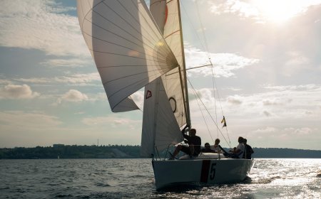 Catalina 310 sails: What you need to know before you buy