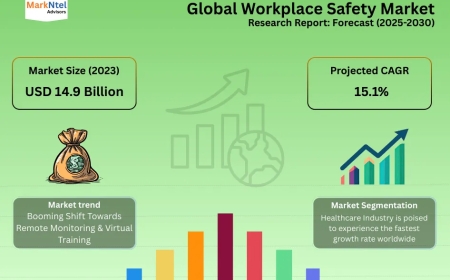 Workplace Safety Market Trends: Growth, Share, Value, Size, and Analysis By 2030