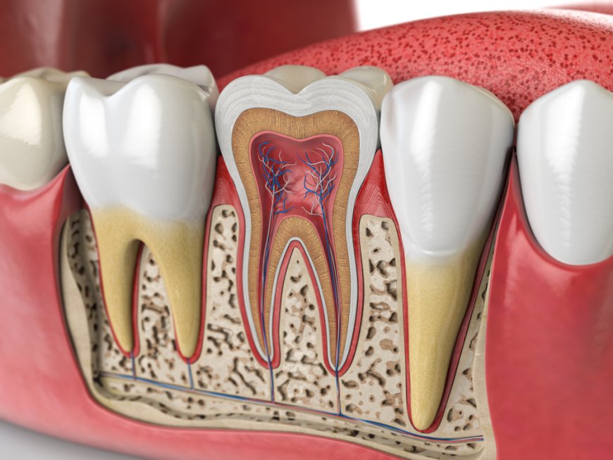 Root Canal Therapy for Cracked Teeth: What Patients Should Know