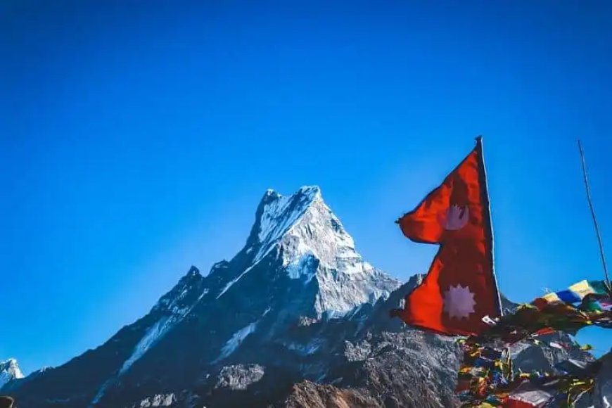 Feeling Burnt Out? Mardi Himal Trek Will Heal Your Mind, Body, and Soul
