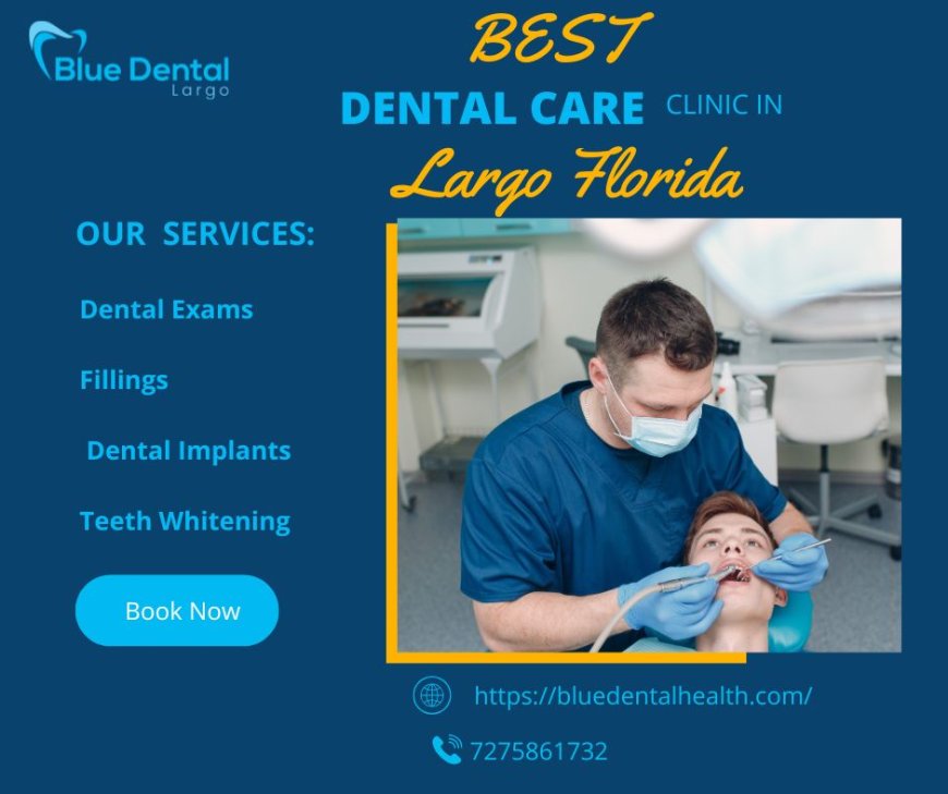 Dentist Largo FL – Your Complete Guide to Quality Dental Care