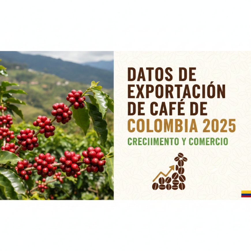 Datos de exportación de café de Colombia 2025: Crecimiento y Comercio