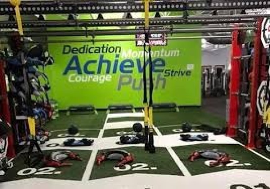 Trying to Level Up? Which Florida Gyms Offer Next-Level Group Training Programs?