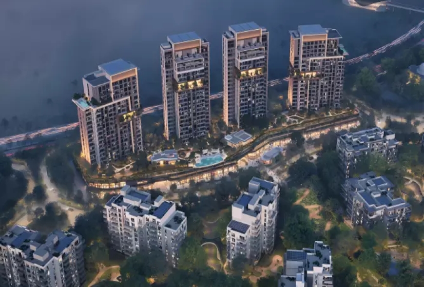 Salwa Real Estate – Exclusive Dubai Real Estate Opportunities