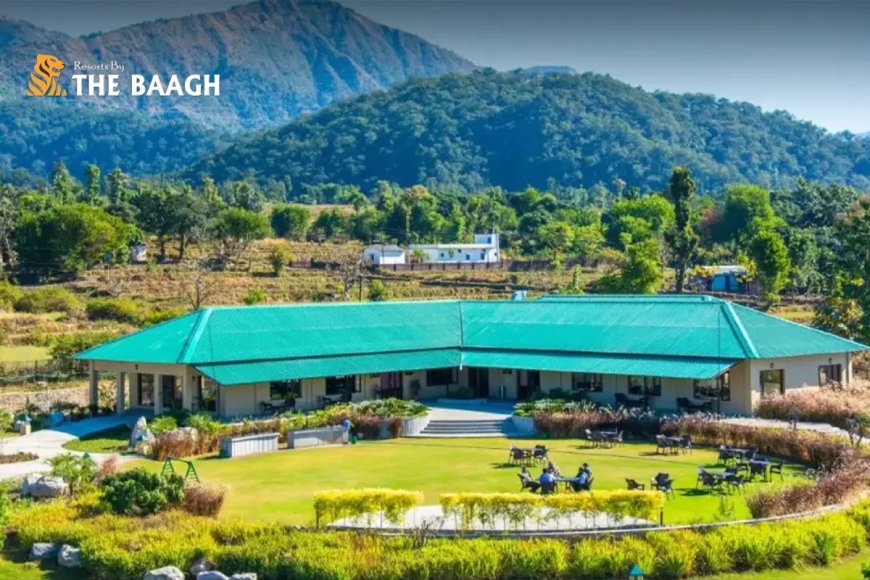Which Are the Best Resorts in Jim Corbett Near River for a Luxury Nature Stay?