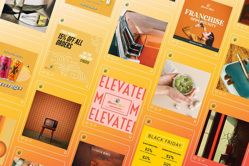 Why Every Growing Business Needs Expert Graphic Design Services