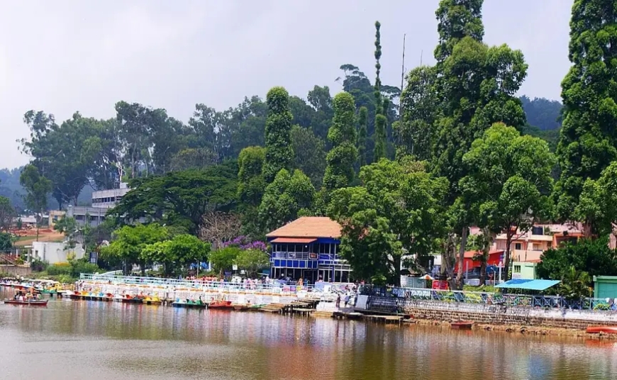 Yercaud Tour Packages – A Quiet Hill Escape Above the Plains