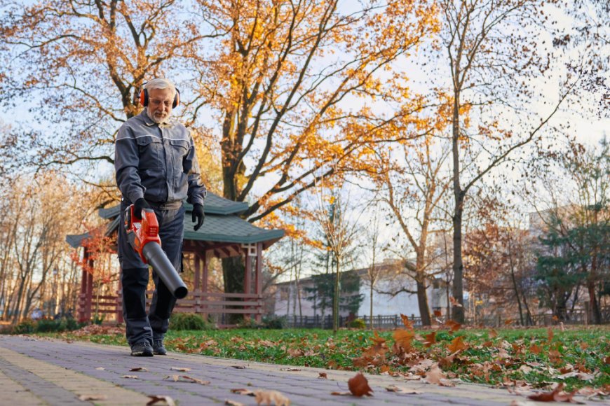 Winter Garden Clean Ups: Why This Quiet Season Matters More Than You Think