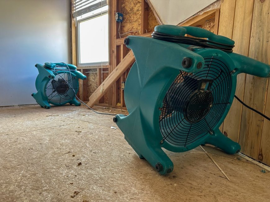 Top Benefits of Professional Structural Drying for Flood Recovery