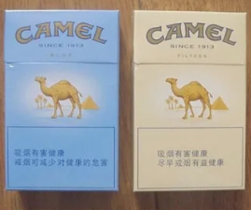 駱駝精神的現代演繹——HKsmokeone 對品質與風格的堅持