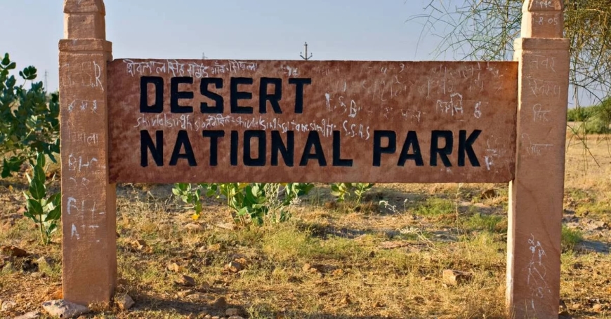 Rajasthan Desert Tour Package | Thar Desert Safari – Rajasthan Tour Travels