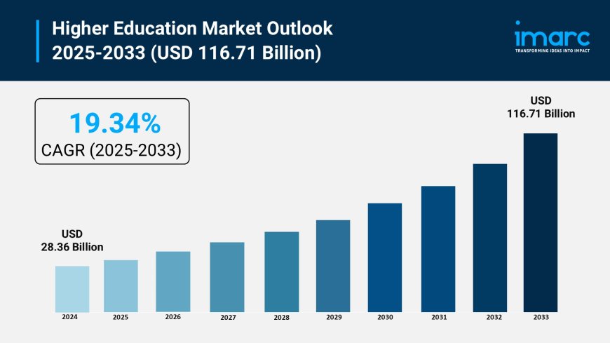 Higher Education Market Analysis, Trends & Growth Forecast 2025-2033