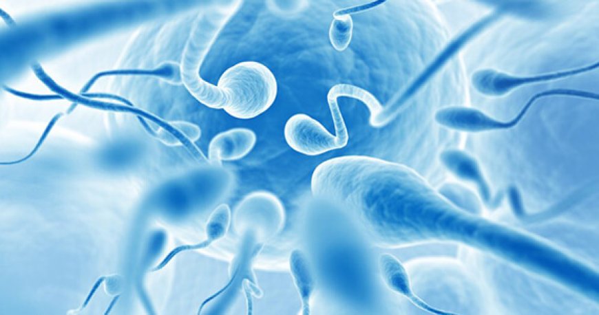 Same-Day Semen Analysis in Delhi – Cost & Booking Guide