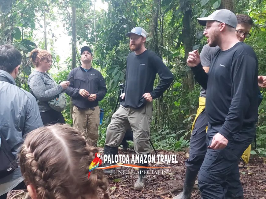 Best Time to Visit Manu National Park Tours – Weather, Wildlife Sightings, and Seasonal Travel Tips