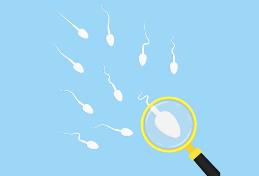 Best Male Fertility Specialist in Delhi – Reviews & How to Book