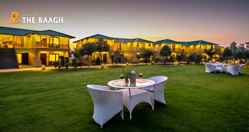 Which Is the Best Luxury Resort in Corbett for a Premium Jungle Stay?