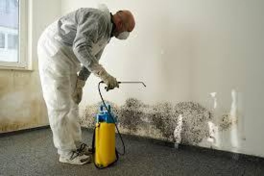 Who Can You Trust for Fire, Water, and Mold Restoration Services in Boston, MA?