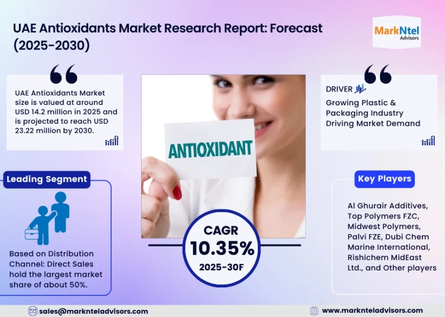 UAE Antioxidants Market Trends: Growth, Share, Value, Size, and Analysis By 2030