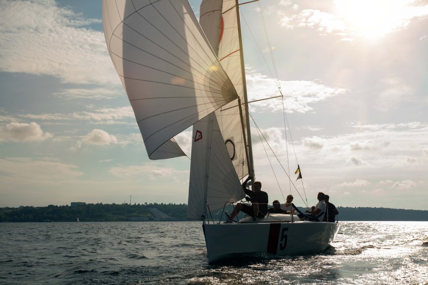 Catalina 310 sails: What you need to know before you buy