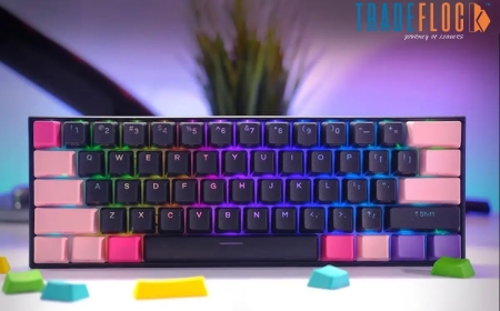 Anne Pro 2 Software: A Complete Guide to Customization, Features & Setup