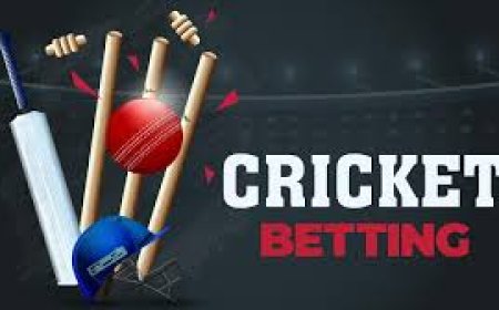 Some Of The Most Vital Concepts About Cricket Betting