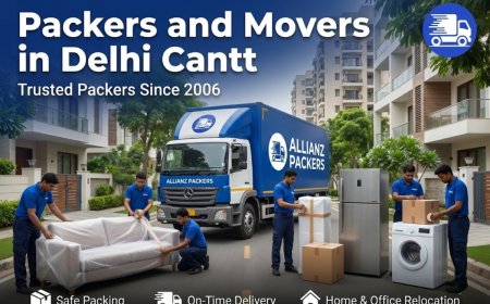 Packers and Movers in Delhi Cantt for Local & Domestic Shifting – Allianzpacker