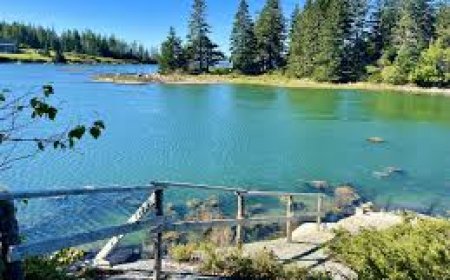 Waterfront Properties of Maine Offers Advice to Buyers in Search of Oceanfront Living