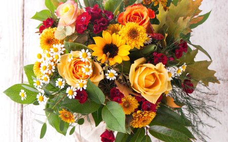 Pamper Your Loved Ones With Flowers That Speak Love, Care, and Pure Emotions