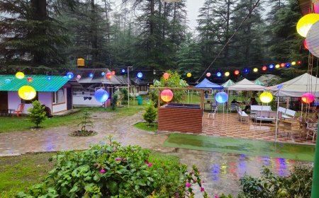 Best Riverside Cafe Restaurant in Kasol for Food, Views & Peace