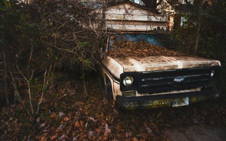 Alloy vs Steel Wheels Impact on Scrap Car Valuation Gurugram Prices Today