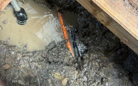 Why Drainage Issues in Melbourne Homes Should Never Be Ignored