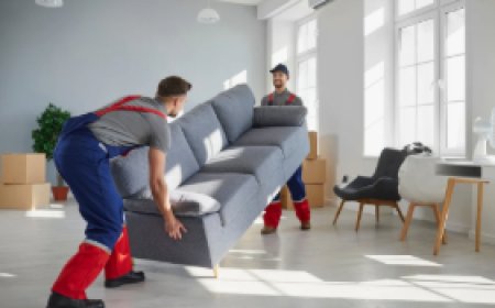 Furniture Removalists Adelaide – Reliable, Affordable & Hassle-Free Moving Solutions