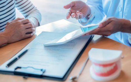 Comprehensive Guide to Dental Insurance in Tampa, Florida