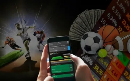 Why Online Betting Sites Are Becoming Full Digital Entertainment Platforms