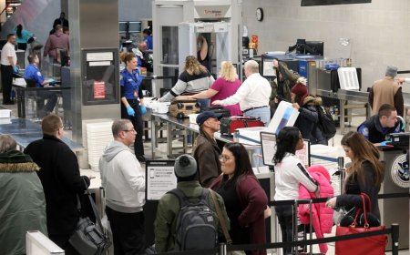 Security Wait Times at Detroit Metropolitan Wayne County Airport