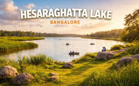 Discovering Hesarghatta: A Hidden Gem in the Heart of Bangalore