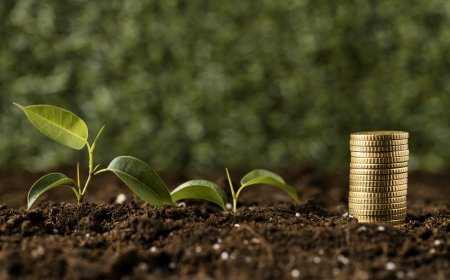 Are Fund Factsheets Available in Top Mutual Fund Software for Distributors in India?