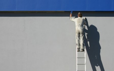 Best Commercial Painting Services in Brant