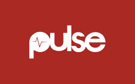 Africa Pulse Media