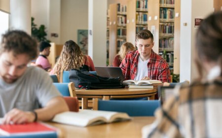 Online Accounting Assignment Help: Expert Support for Academic Excellence