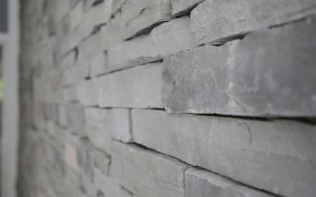 Bringing Structure and Style to Jacksonville Gardens With Stone Walls